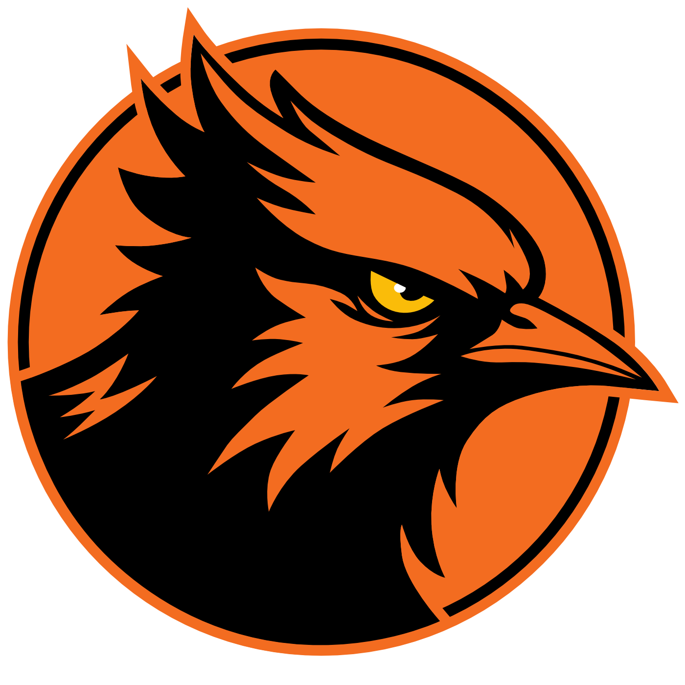Dark Jay Studio